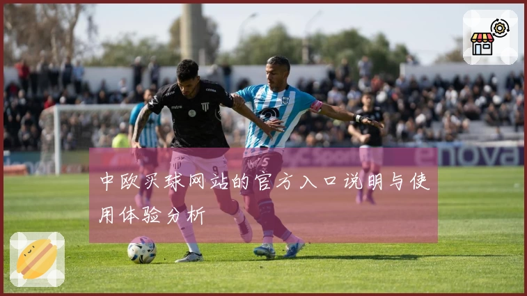 中欧买球网站的官方入口说明与使用体验分析
