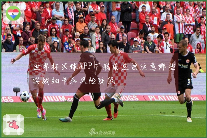 世界杯买球APP下载前应该注意哪些实战细节和风险防范