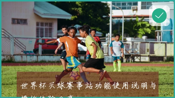 世界杯买球赛事站功能使用说明与操作体验分享