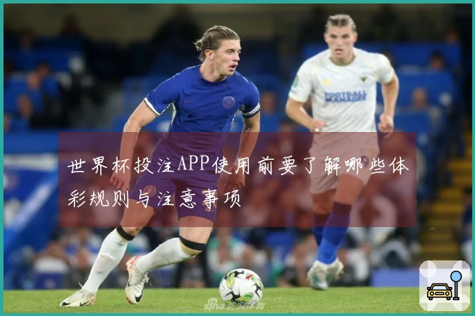 世界杯投注APP使用前要了解哪些体彩规则与注意事项