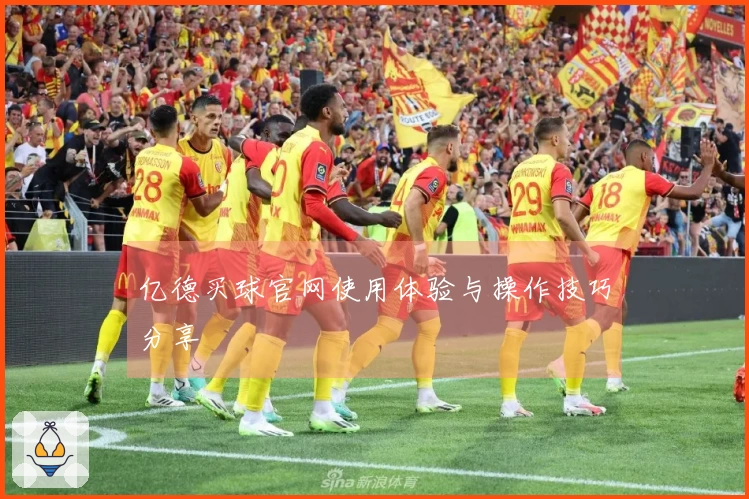 亿德买球官网使用体验与操作技巧分享