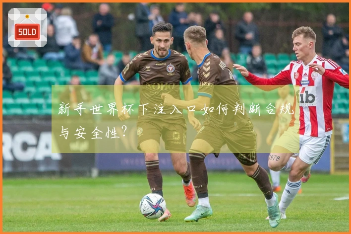 新手世界杯下注入口如何判断合规与安全性?