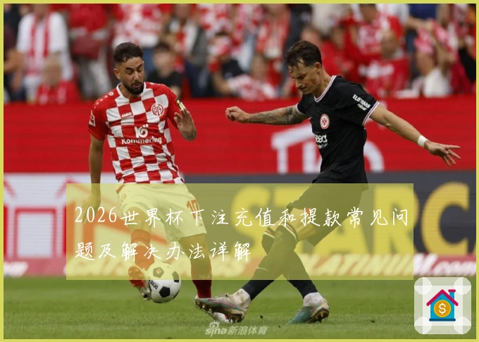 2026世界杯下注充值和提款常见问题及解决办法详解