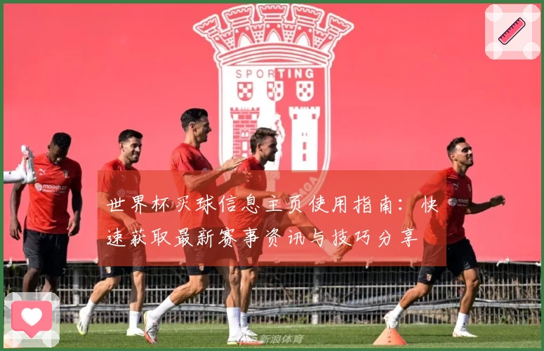 世界杯买球信息主页使用指南:快速获取最新赛事资讯与技巧分享