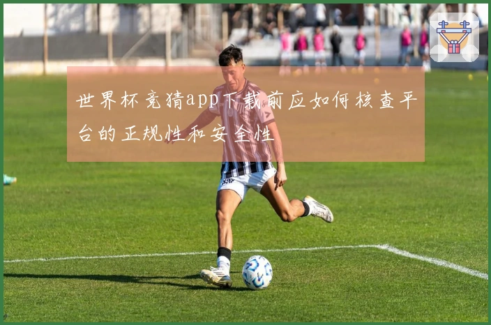 世界杯竞猜app下载前应如何核查平台的正规性和安全性