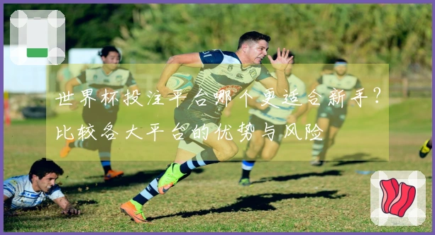 世界杯投注平台哪个更适合新手?比较各大平台的优势与风险