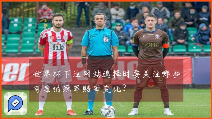 世界杯下注网站选择时要关注哪些可靠的冠军赔率变化?