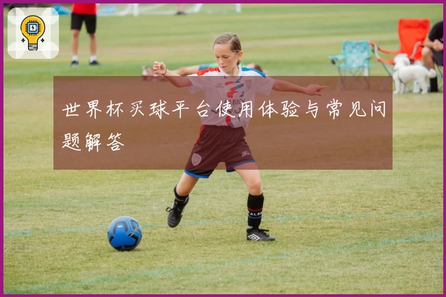 世界杯买球平台使用体验与常见问题解答