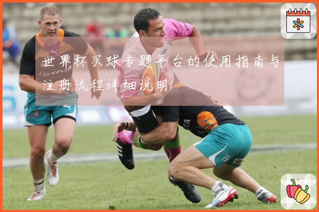 世界杯买球专题平台的使用指南与注册流程详细说明
