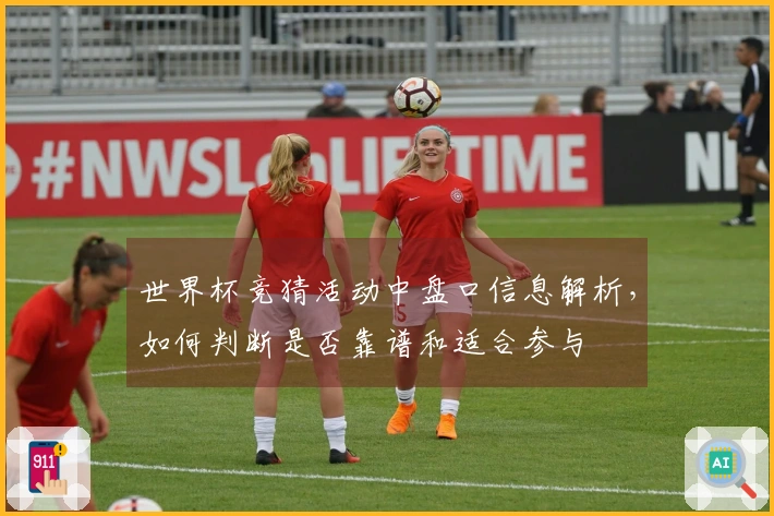 世界杯竞猜活动中盘口信息解析，如何判断是否靠谱和适合参与