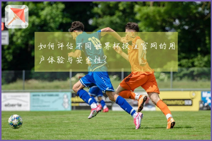 如何评估不同世界杯投注官网的用户体验与安全性？