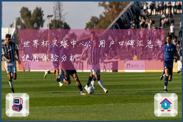 世界杯买球中心：用户口碑汇总与使用体验分析