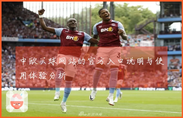 中欧买球网站的官方入口说明与使用体验分析