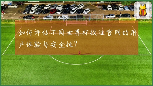 如何评估不同世界杯投注官网的用户体验与安全性?