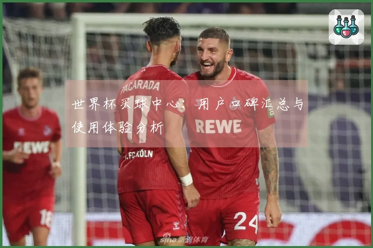 世界杯买球中心：用户口碑汇总与使用体验分析