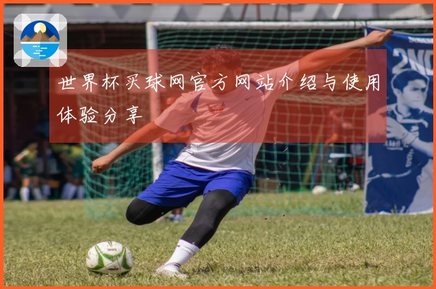 世界杯买球网官方网站介绍与使用体验分享