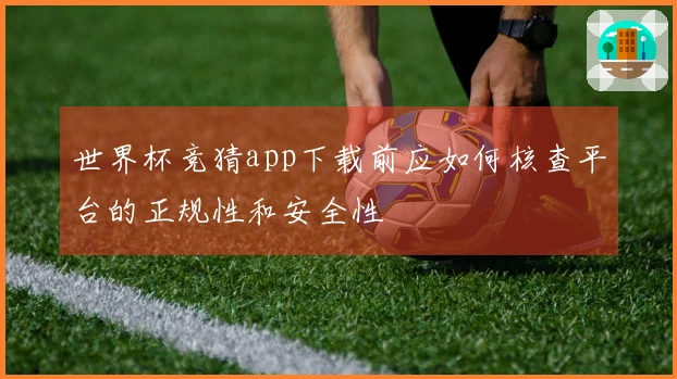 世界杯竞猜app下载前应如何核查平台的正规性和安全性