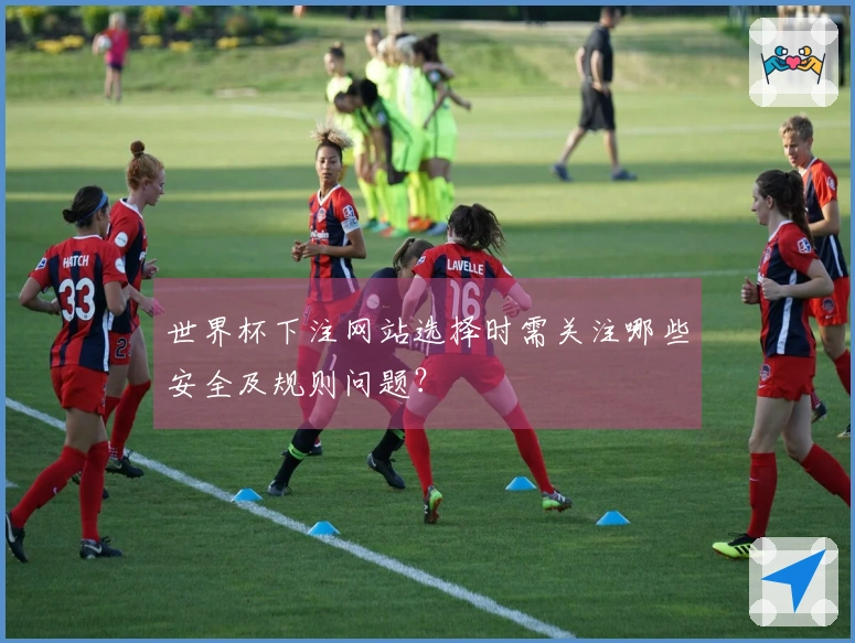 世界杯下注网站选择时需关注哪些安全及规则问题？